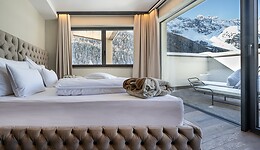 Suite Luxury	 