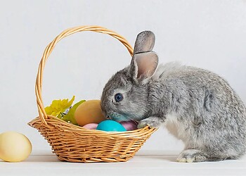 Pasqua.Felicitàinfamiglia