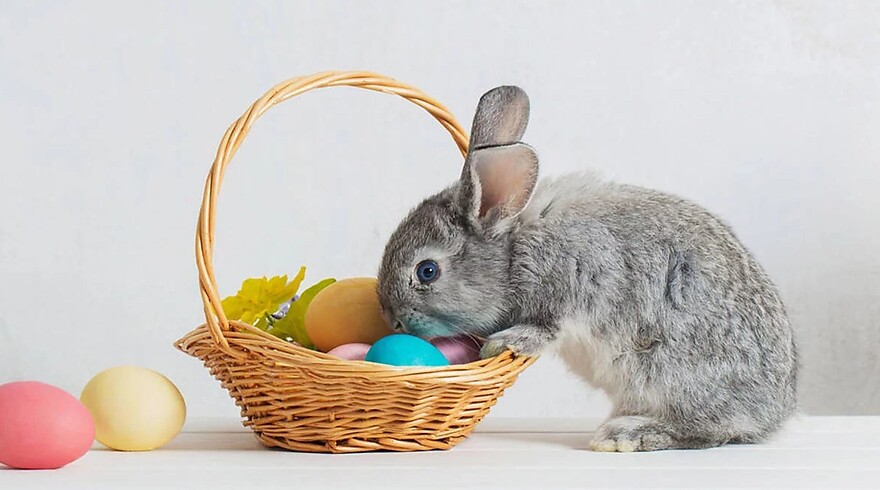 Easter. Family happiness